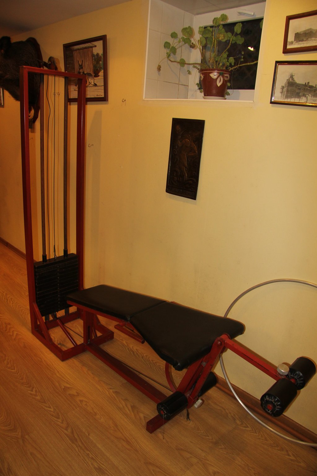 Media for Тренажер для двухглавой мышцы бедра