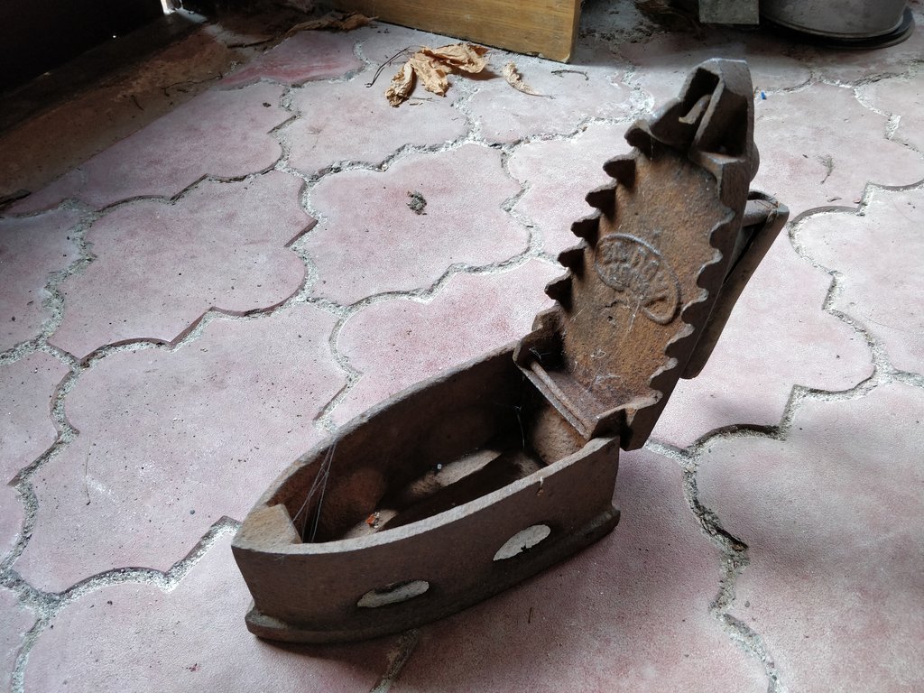 Media for Чугунный утюг