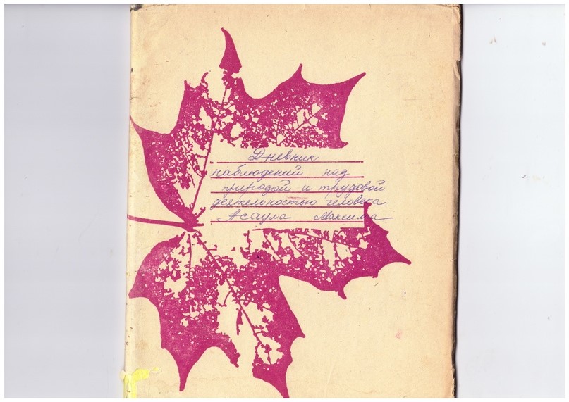 Media for Дневник наблюдений М. А. Асаула