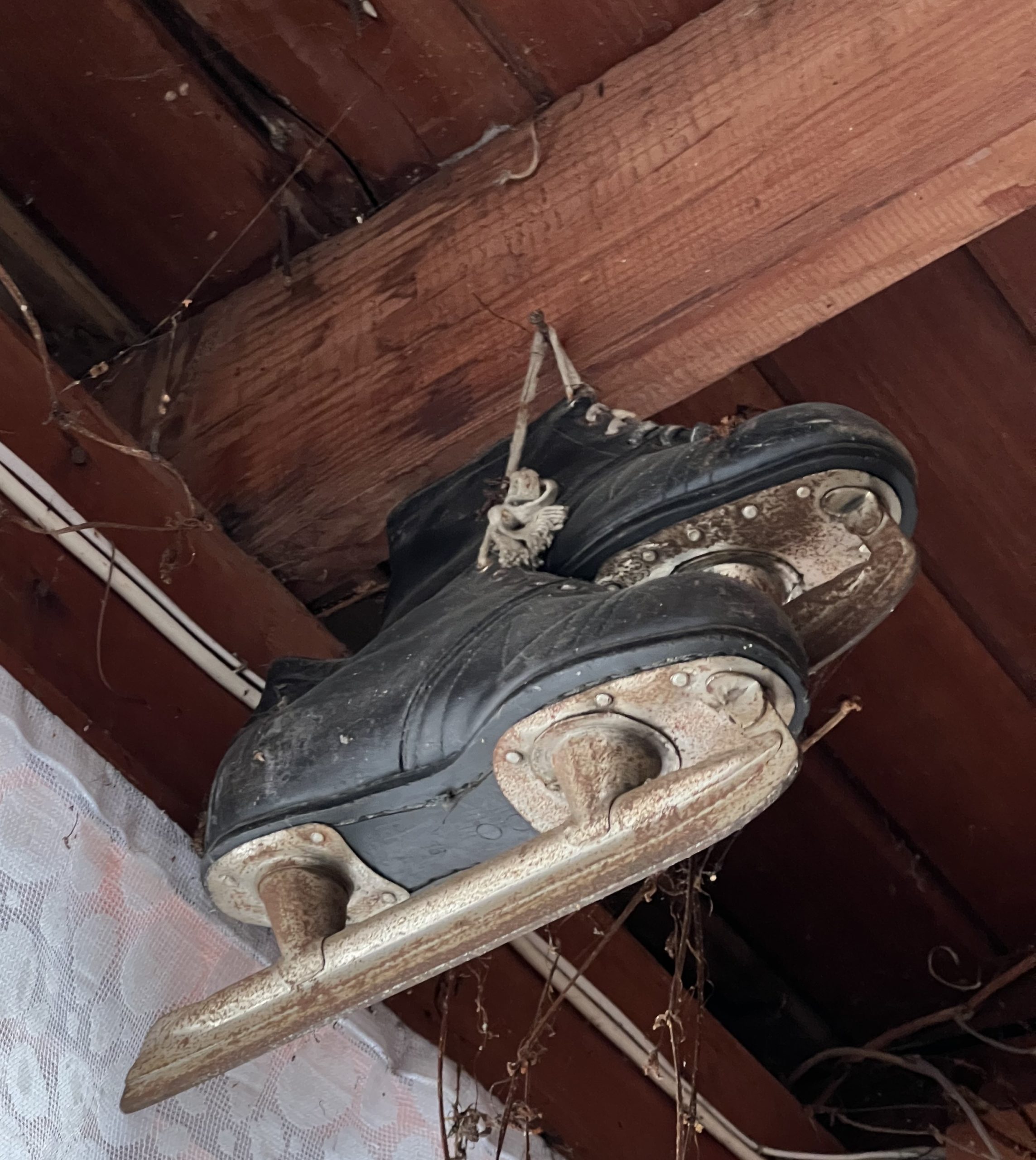 Media for Коньки