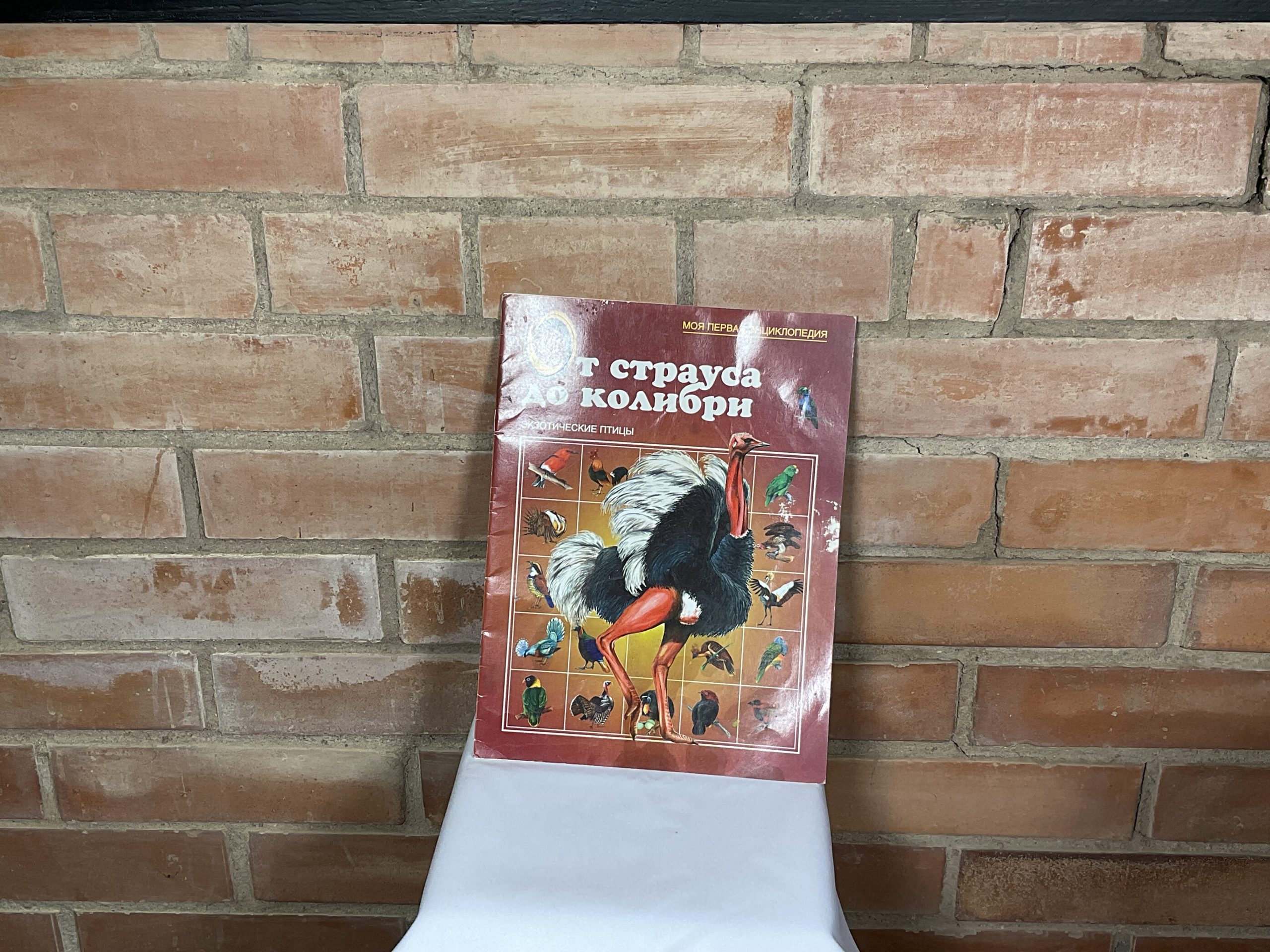 Media for Книга Моя первая энциклопедия